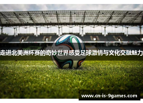 走进北美洲杯赛的奇妙世界感受足球激情与文化交融魅力